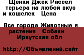 Щенки Джек Рассел терьера на любой вкус и кошелек › Цена ­ 13 000 - Все города Животные и растения » Собаки   . Иркутская обл.